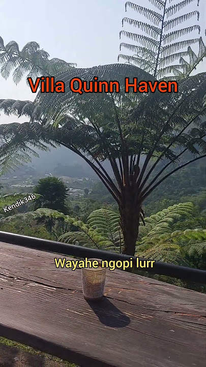 nyruput kopi pagi lurr,😊 #ngopi  #coffee #kopi #trending #villa #quinnhaven #viral #telolet #mentari