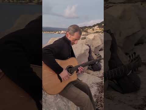 BOSSA AVEC LOOPER