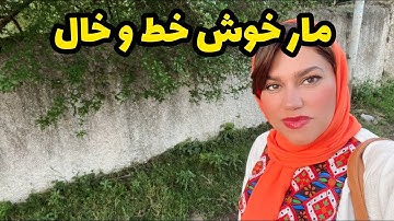 داستان سرگذشت زندگی عارفه ، واقعی و ارسالی از طرف شما ، پادکست و ولاگ فارسی