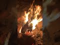 Tandoori night in farm house