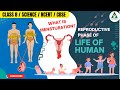 AARSHI l Reproductive Phase of Life in Human l Class 8 l Science l CBSE l KG to PG