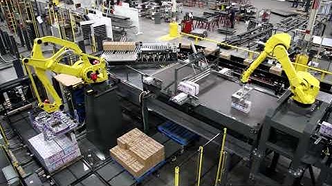Robotic Case Palletizer & Tray Palletizer - Dual Infeed - Dairy Products - BW Integrated Systems