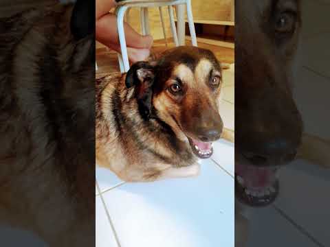 ESTAMOS MUITO FELIZ!