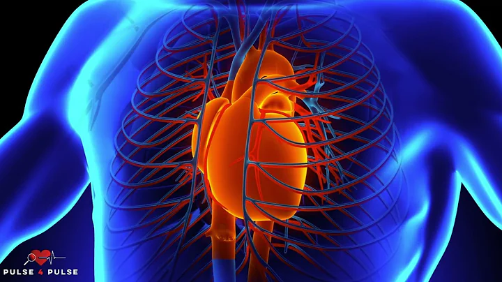 Pulse4Pulse - Why is it important to know if you have microvascular disease?