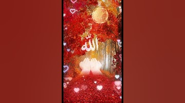 ارح سمعك ،🌹 ماتيسر من سورة الفجر بصوت راءع 🌟🌹 للشيخ هشام الهراز المغربي 👆🇲🇦🌟🌹👍🌹👂