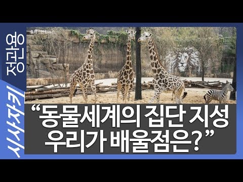 ｜집단지성의 힘｜<strong>최재천의</strong> 동물보감｜ 최재천 이화여대 석좌교수｜시사자키 정관용입니다