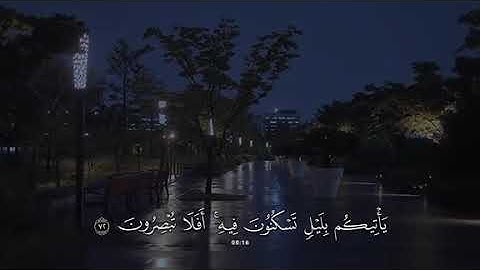 جزء 17 | تلاوة هادئة آيات من سورة القصص بصوت جداً جميل  - محمد بو حسون ✨ .