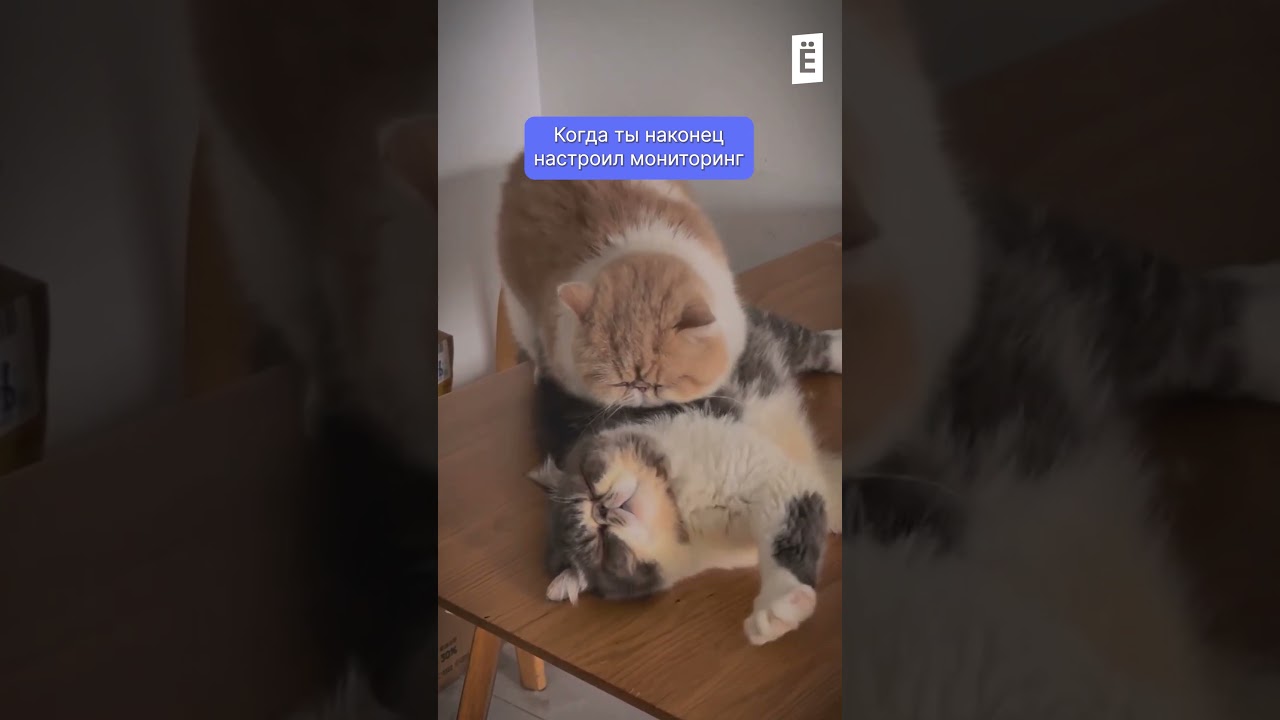 Мониторинг настроен, можно расслабиться 