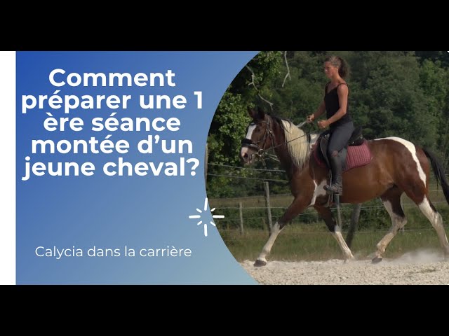 Comment préparer une 1 ère séance montée d'un jeune cheval