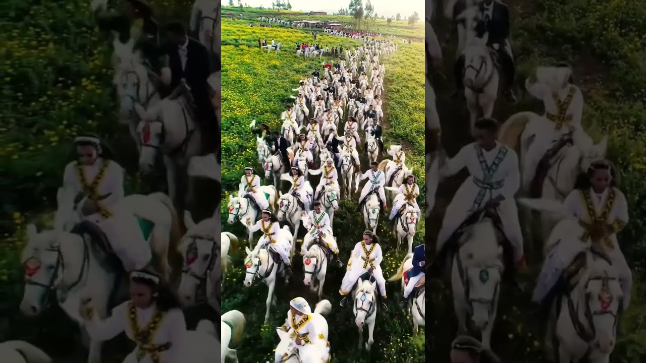 Grand Ethiopian Wedding | Traditional Celebration in Addis Ababa 🇪🇹💍