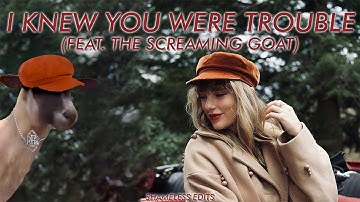Taylor Swift - I Knew You Were Trouble (Taylor