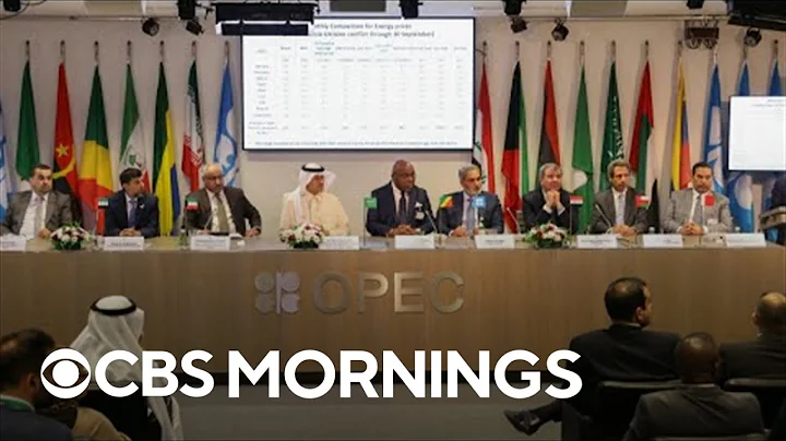 Oil cartel OPEC+ plans to cut production quotas by 2 million barrels per day