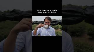 How Matcha is made