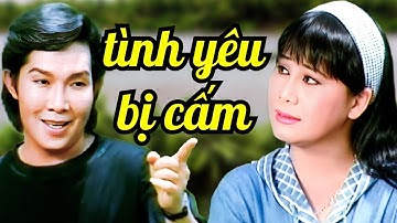 Tình Yêu Bị Cấm Cản, Liệu Có Vượt Qua? | Cải Lương Vũ Linh, Tài Linh Đặc Sắc Nhất