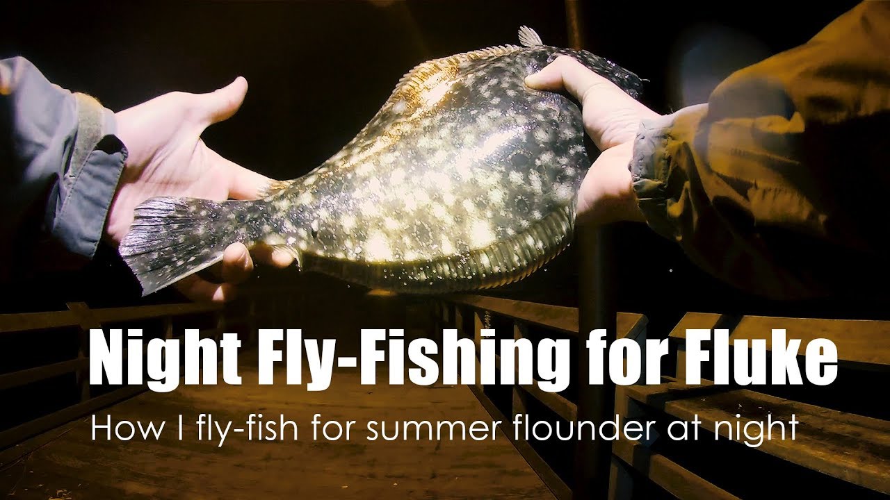 Night FlyFishing for Fluke (summer flounder) YouTube