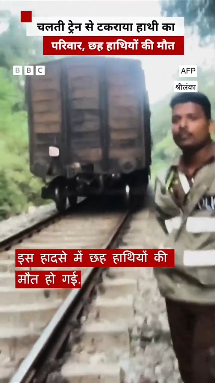 चलती ट्रेन से टकराया हाथी का परिवार, छह हाथियों की मौत #srilanka #elephant #shorts   (BBC Hindi)