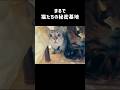 猫に「猫用こたつ」をプレゼントしたら…秒で虜になりました #shorts
