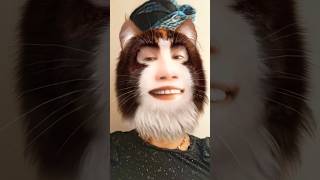 Download Lagu chunni mein 🤢🍃🤪🤑😜 perfume lagave 🤣🥵🤣 #dj MP3