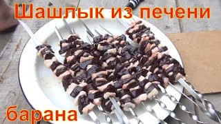 Шашлык из печени барана Тает во рту Вкуснятина как мариновать шашлык Рецепт шашлыка Шашлык из печени барана Тает во рту Вкуснятина как мариновать шашлык Рецепт шашлыка
