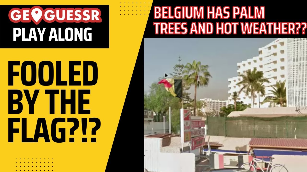 does-belgium-have-palm-trees-or-are-you-fooled-flags-of-the-world