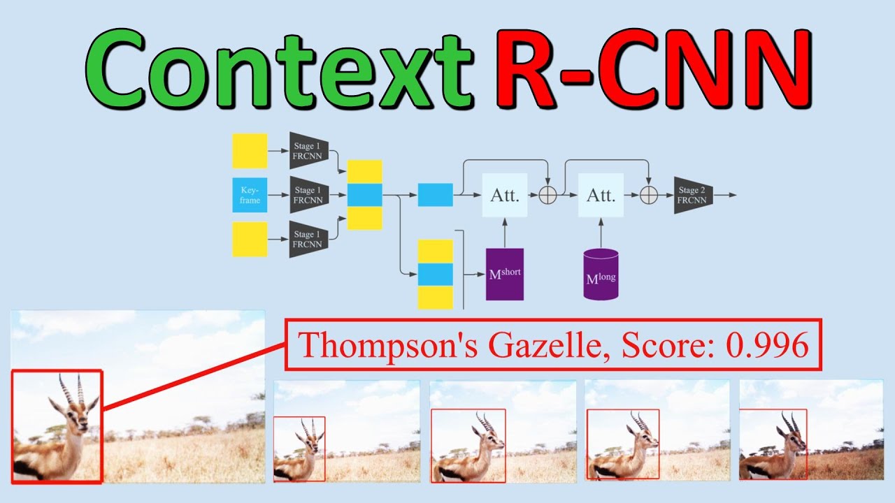 Context R Cnn Long Term Temporal Context For Per Camera Object Detection Paper Explained Youtube