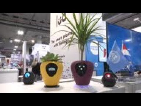 Smart plant pots smile, squint and cry - YouTube