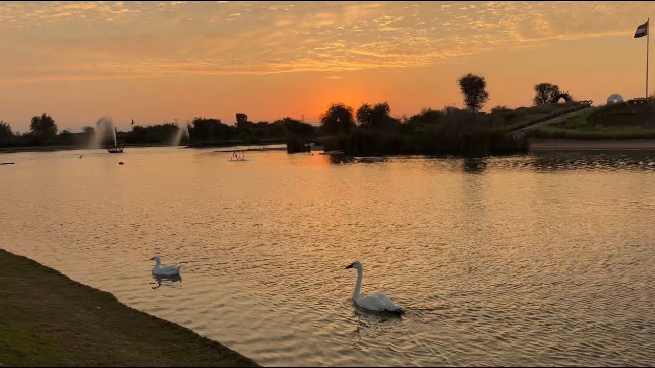 Overnight at Love Lake Dubai 🌙🔥 BBQ Night & Stunning Sunrise 🌅 | Desert Nightout Vlog