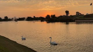 Overnight at Love Lake Dubai 🌙🔥 BBQ Night & Stunning Sunrise 🌅 | Desert Nightout Vlog