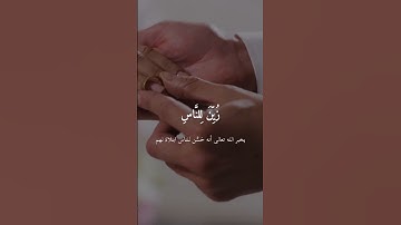 زين للناس حب الشهوات | ما تيسر من سورة النساء | القارئ عبدالرحمن مسعد | تلاوة خاشعه