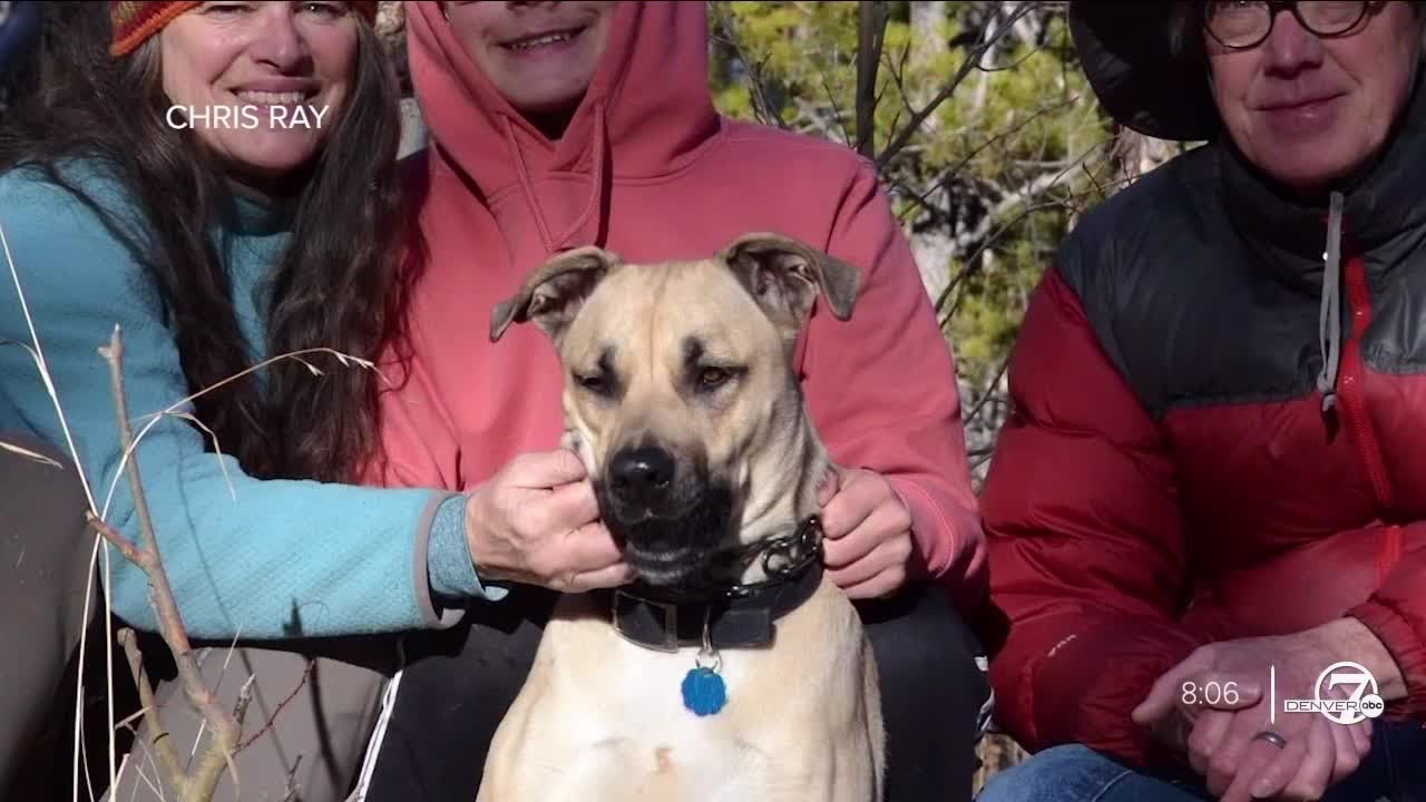 Boulder County woman lucky to be alive after she and her dog were ...