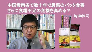 中国雲南省で数十年で最悪のバッタ食害　さらに食糧不足の危機を高める？　by 榊淳司