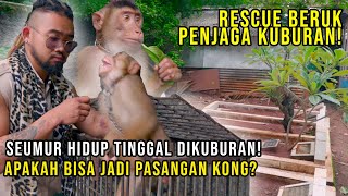 RESCUE BERUK BETINA TERLANTAR DI KUBURAN, APAKAH BSA JADI PASANGN KONG? #AudreyA #Indoexoticpets