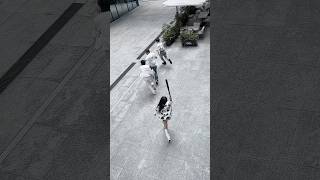 Famous The boys invited me out… and this is how it ended. | Gia Long Official #gialong #reencyngo #shorts Wealth