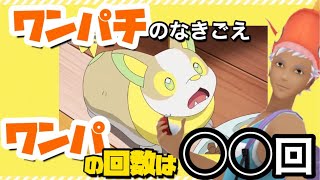 【検証＆クイズ】1話〜10話のワンパチのなきごえ「ワンパ」をかぞえると◯◯回【アニポケ イヌヌワン】【すぐえね】