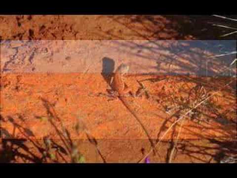 Simpson Desert Tour 2007