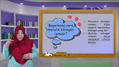Soal Olimpiade Matematika Sd 4 Youtube