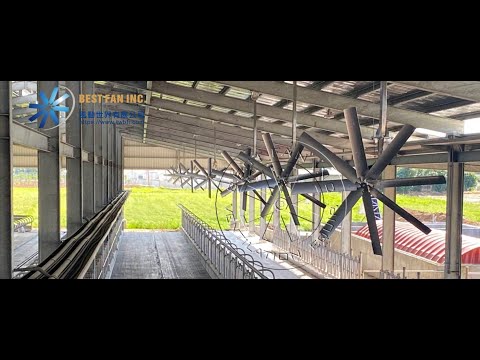 Thumbnail for Ventilation Fans Air Flow Testing 各廠牌負壓風扇螺旋槳風量測試