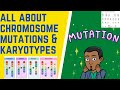 Chromosome Mutations and Karyotypes Quiz