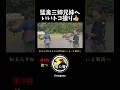 #猛禽三姉兄弟 #猛禽類 #猛禽 #raptors #japanese #japan