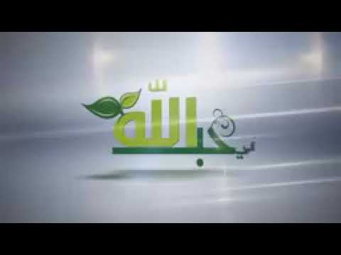 شوقا الى رسول الله