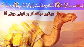 Eak Ount lNabi Pak SAW Aur Ount Ka Waqya ( Our ProphetHazrat Muhammad PBUH & a Camel)