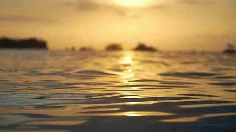 القرآن الكريم | سورة البقرة | تلاوة خاشعة و مرتلة لسورة البقرة بصوت القارئ وديع اليمني