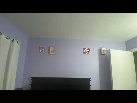 302._Gkid Live Stream