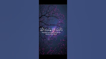 #القران_الكريم #اكسبلور #القزابري #foryou #لايك #المصحف #تلاوه_خاشعه #تيك_توك #الرحمن #ترند