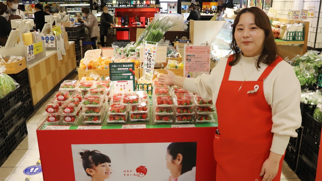 はるか様専門ページ 1979 Datsun 280ZX TURBO Custom IMP Brochure: 280 ZX, 280-ZX | eBay