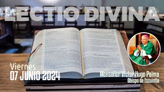 Lectio Divina 07 junio 2024 | #EvangelioDeHoy​​​​ #LectioDivina