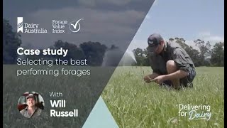 Forage Value Index Case Study With Dairy Farmer Will Russell From The Bega Valley