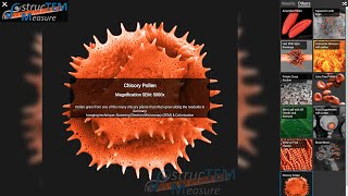 Structem Measure An Awsome Virtual Scanning Electron Microscope En