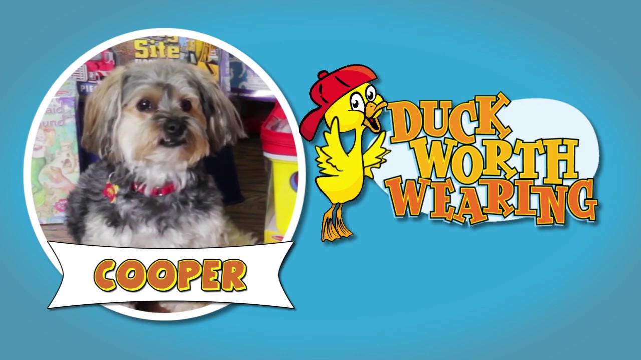 Duck Worth Wearing:  Cooper