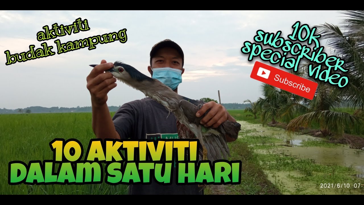 #EP207 Pelbagai Aktiviti dalam Satu Hari - special 10k subscriber